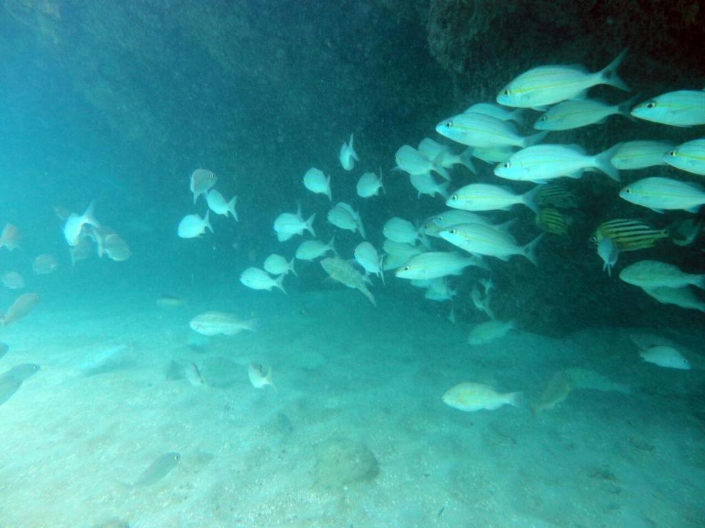 Kitnet Sabrinna Maceió Exteriör bild