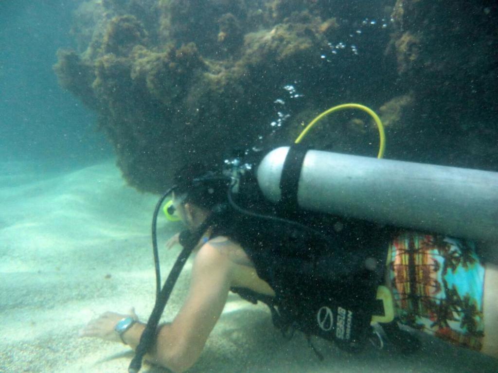 Kitnet Sabrinna Maceió Exteriör bild